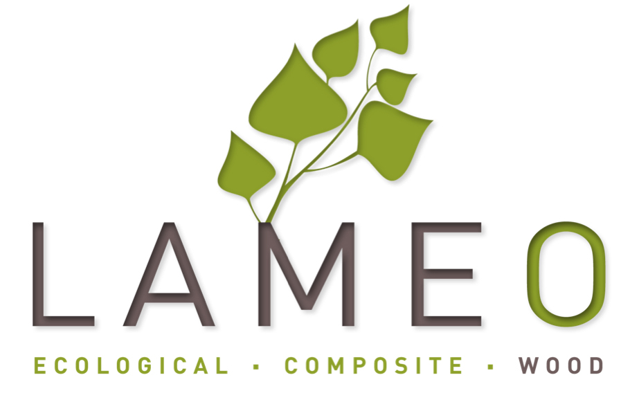 LOGO LAMEO300px
