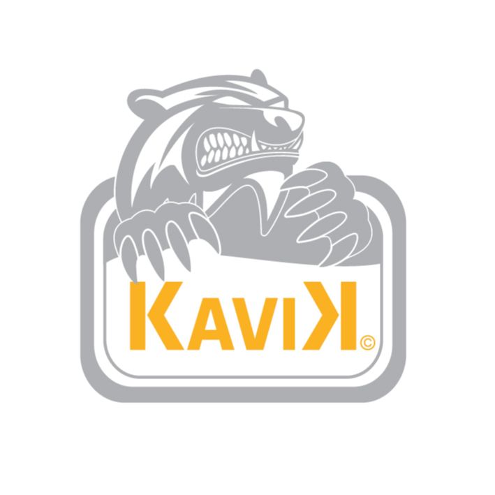 Kavik